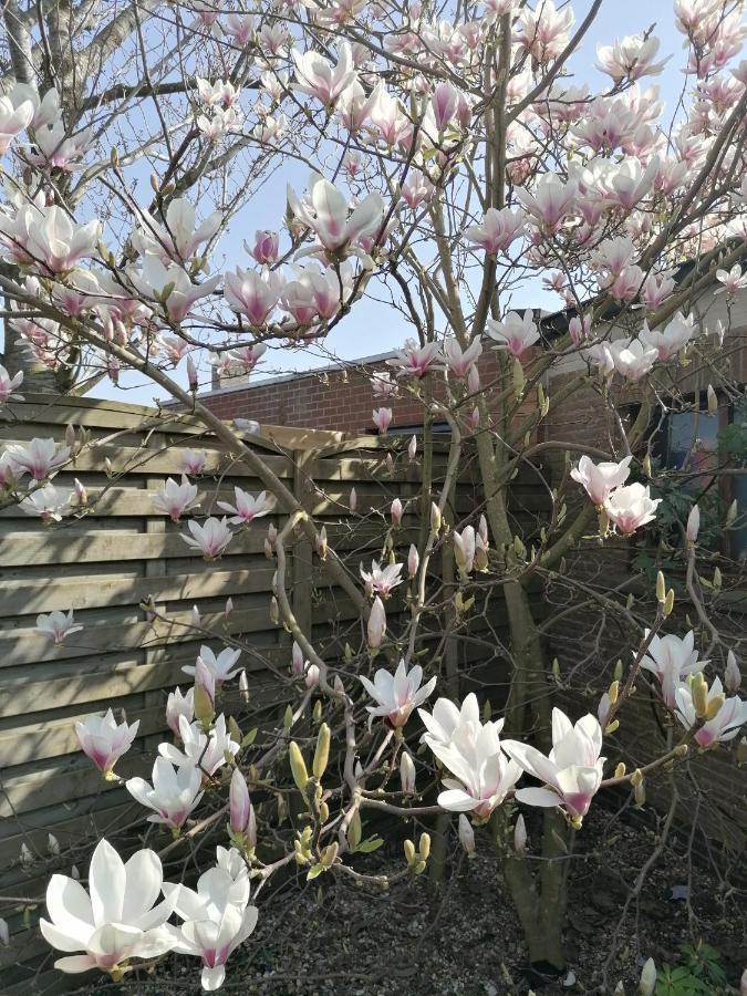 Logies Lily Apartamento Oudenburg Exterior foto