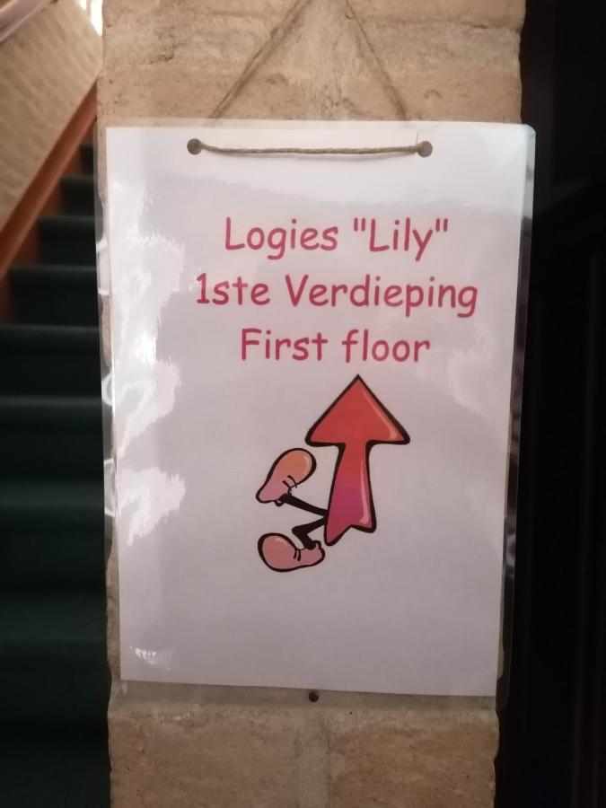 Logies Lily Apartamento Oudenburg Exterior foto