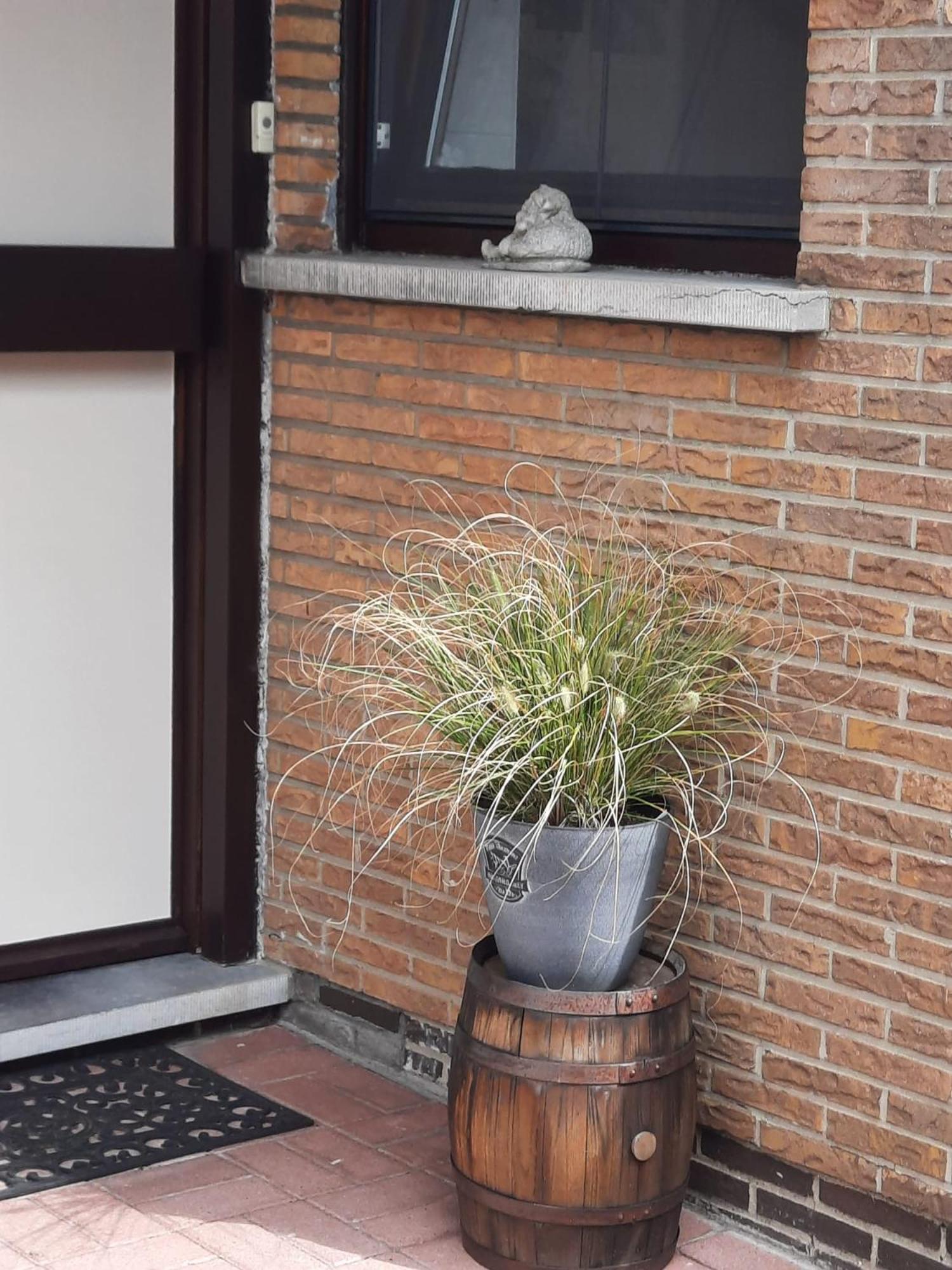 Logies Lily Apartamento Oudenburg Exterior foto