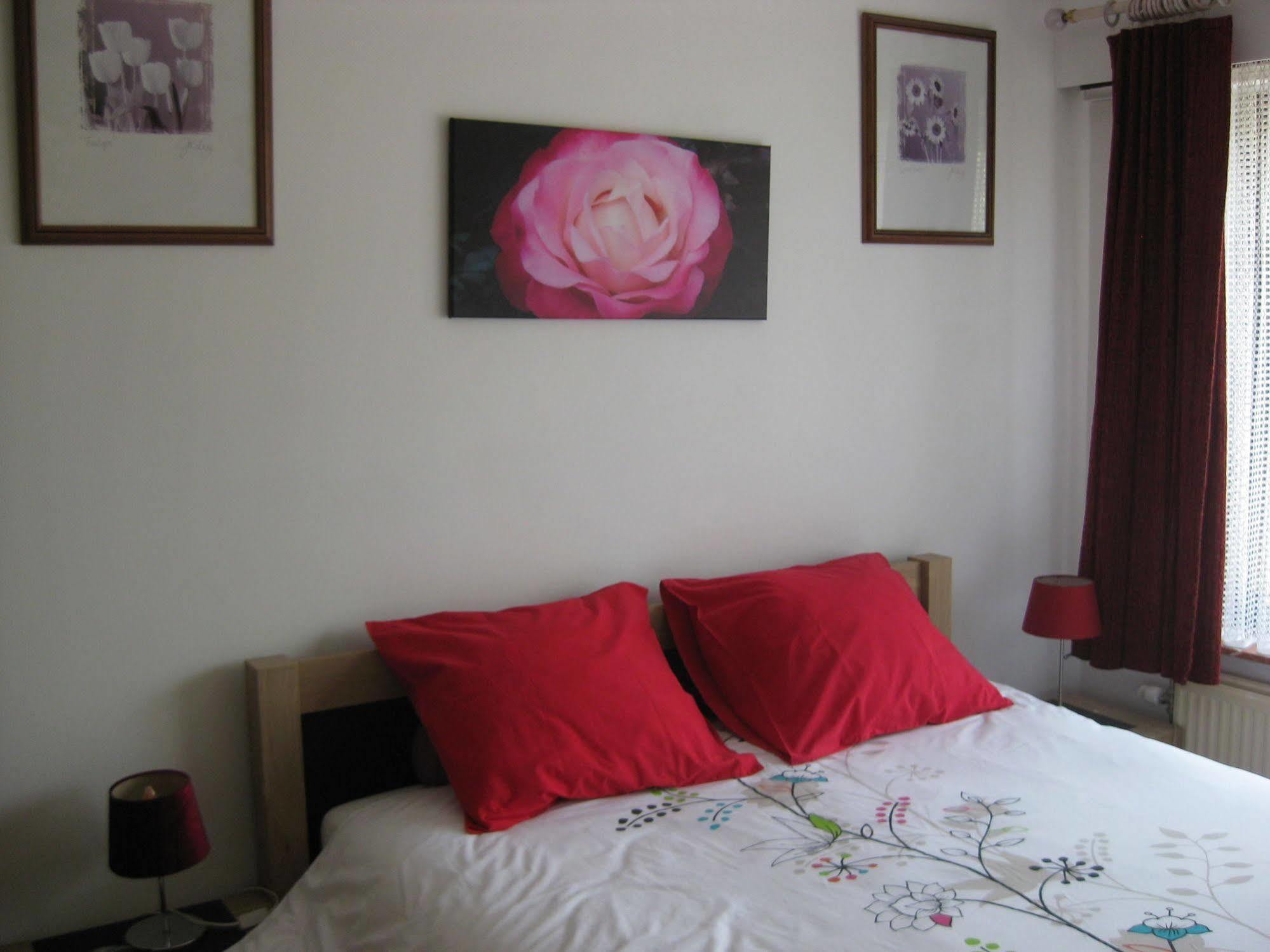 Logies Lily Apartamento Oudenburg Exterior foto